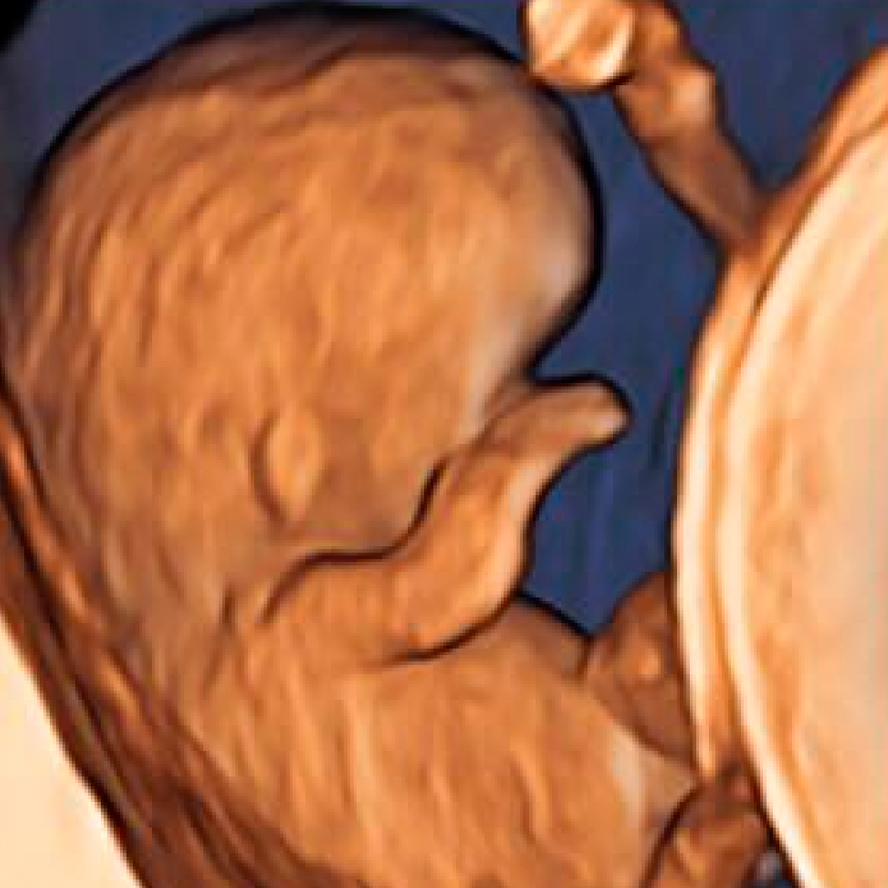 Seguimiento Obstétrico